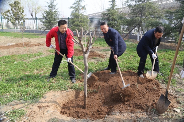 勤植樹(shù)??護(hù)環(huán)境??美大地